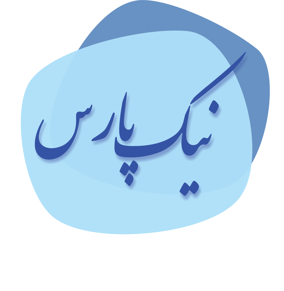 ثبت و رتبه بندی شرکت نیک پارس